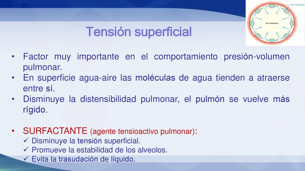 Tensión superficial Factor muy importante en el comportamiento presión-volumen pulmonar.