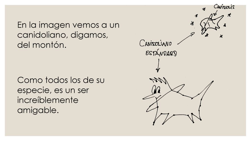 En la imagen vemos a un canidoliano, digamos, del montón.