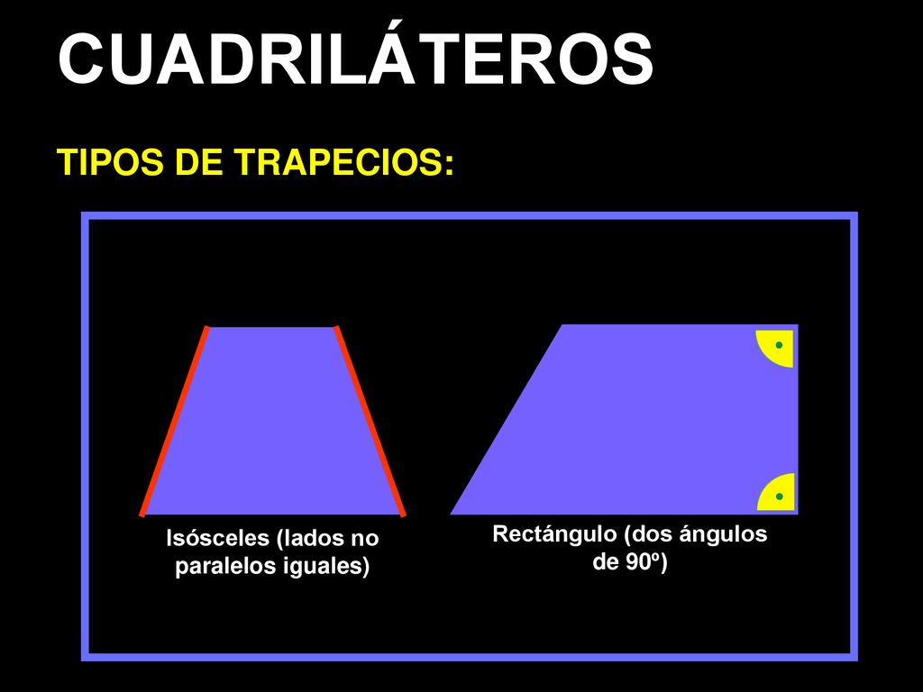 Isósceles (lados no paralelos iguales) Rectángulo (dos ángulos de 90º)