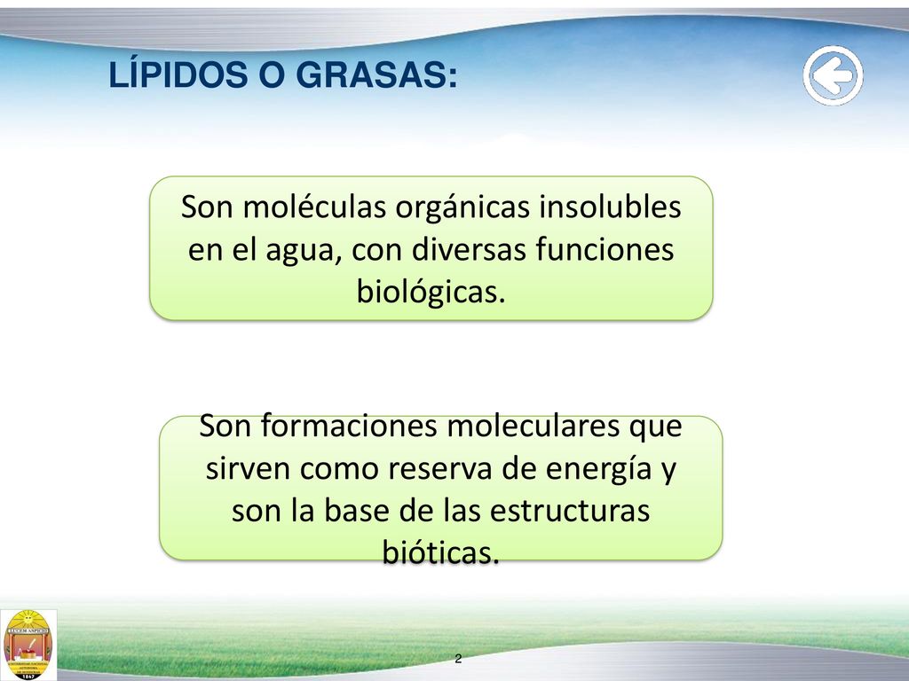 LÍPIDOS O GRASAS: Son moléculas orgánicas insolubles en el agua, con diversas funciones biológicas.