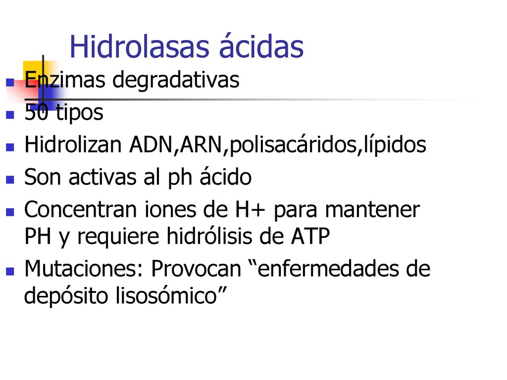 Hidrolasas ácidas Enzimas degradativas 50 tipos