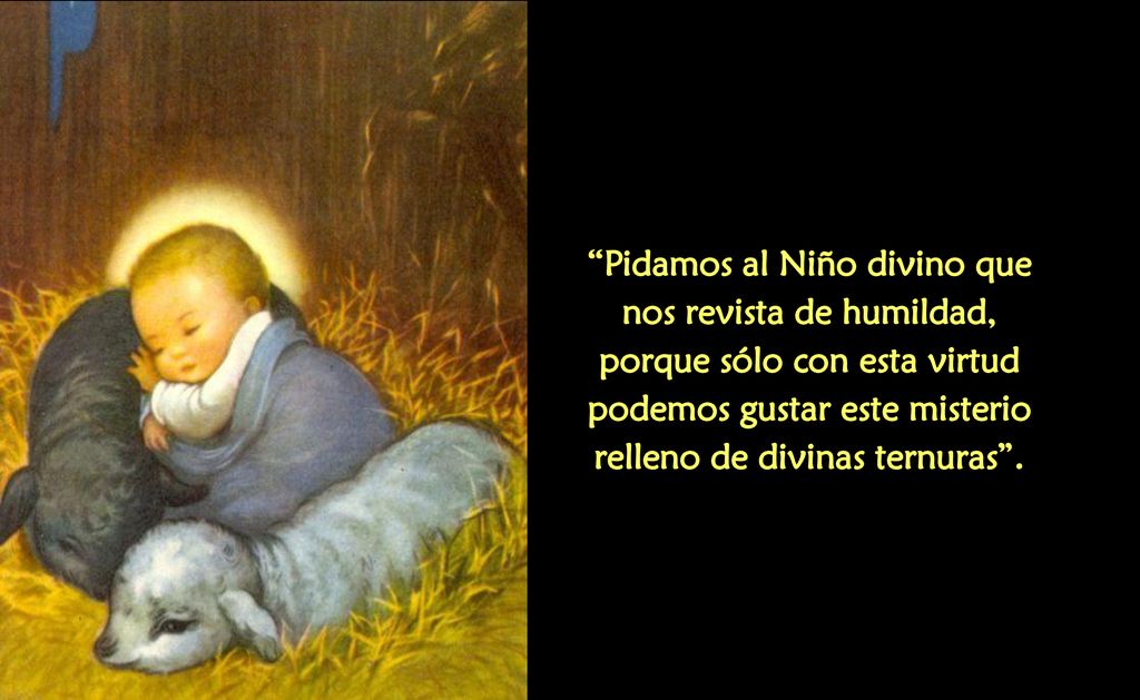 Pidamos al Niño divino que nos revista de humildad, porque sólo con esta virtud podemos gustar este misterio relleno de divinas ternuras .