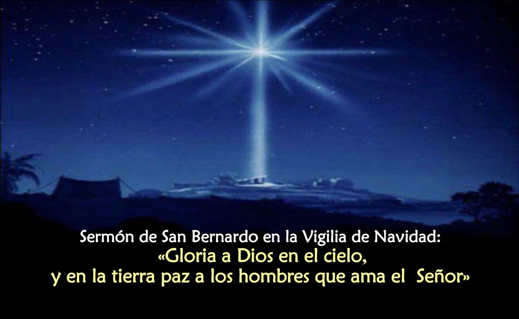 Sermón de San Bernardo en la Vigilia de Navidad: «Gloria a Dios en el cielo, y en la tierra paz a los hombres que ama el Señor»