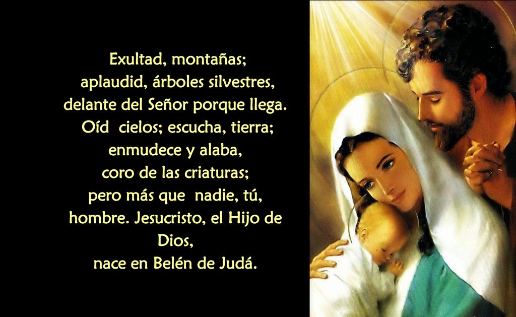 Exultad, montañas; aplaudid, árboles silvestres, delante del Señor porque llega.