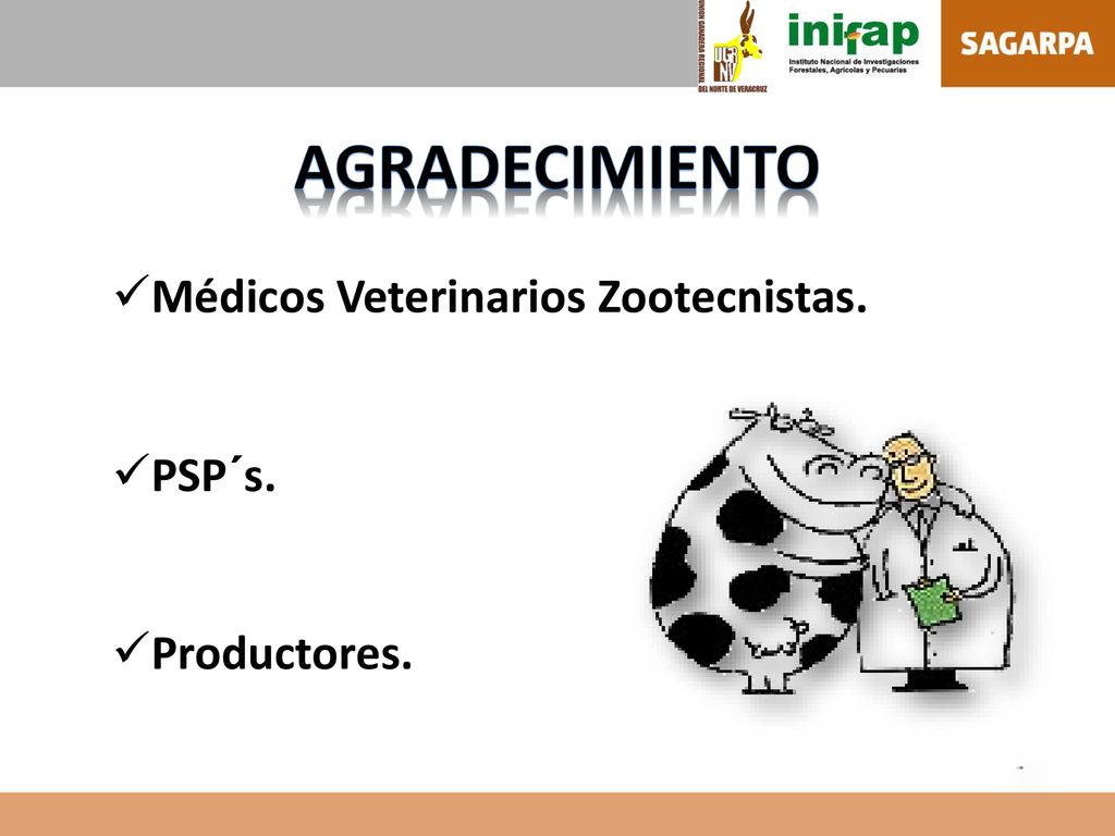 AGRADECIMIENTO Médicos Veterinarios Zootecnistas. PSP´s. Productores.