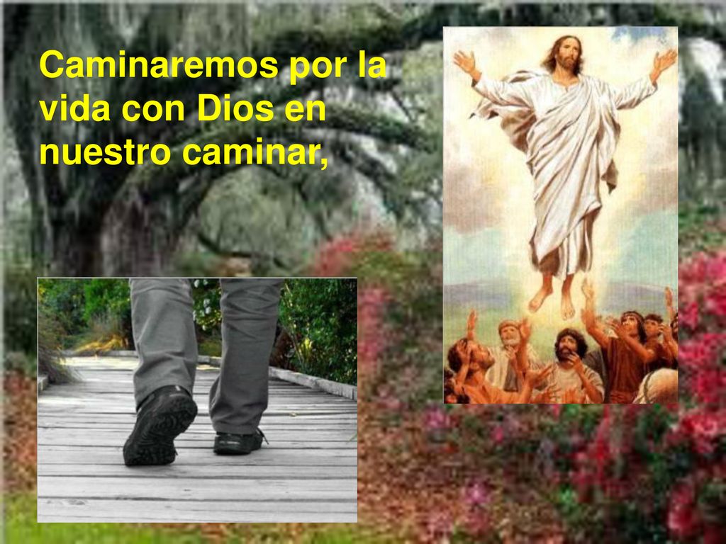 Caminaremos por la vida con Dios en nuestro caminar,