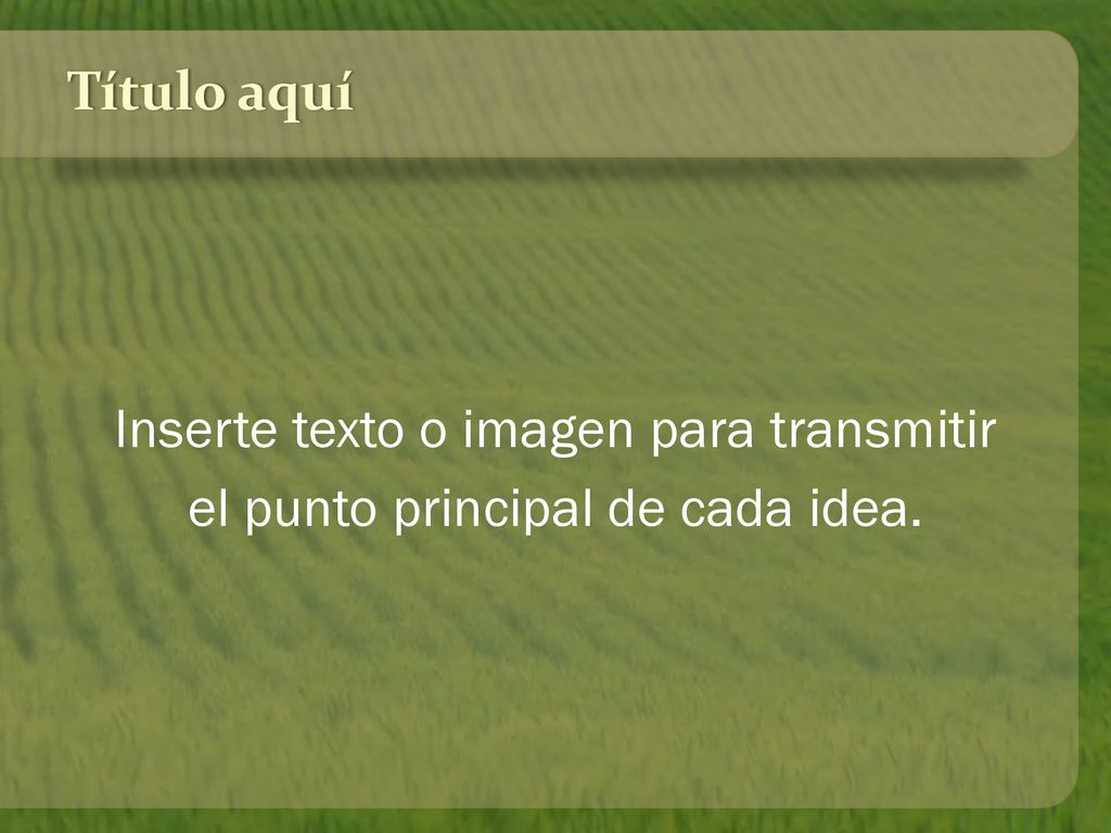 Título aquí Inserte texto o imagen para transmitir el punto principal de cada idea.