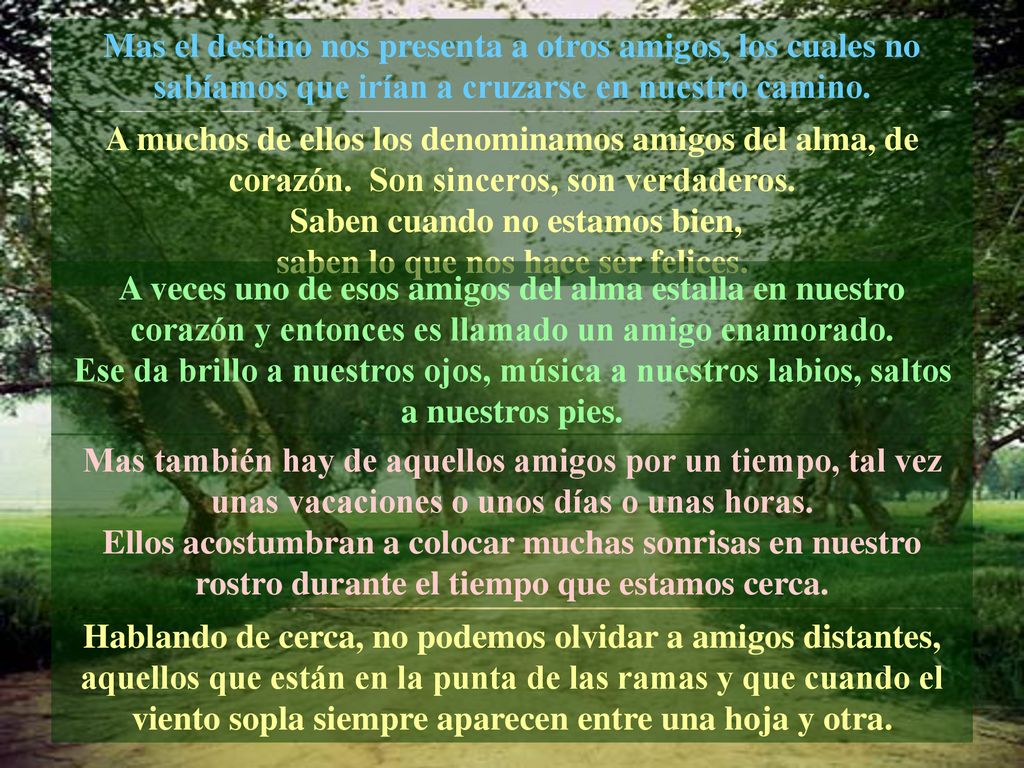Saben cuando no estamos bien, saben lo que nos hace ser felices.