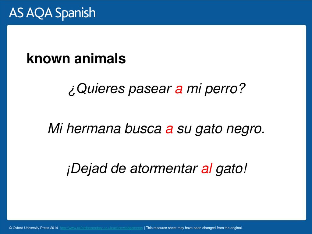 ¿Quieres pasear a mi perro Mi hermana busca a su gato negro.