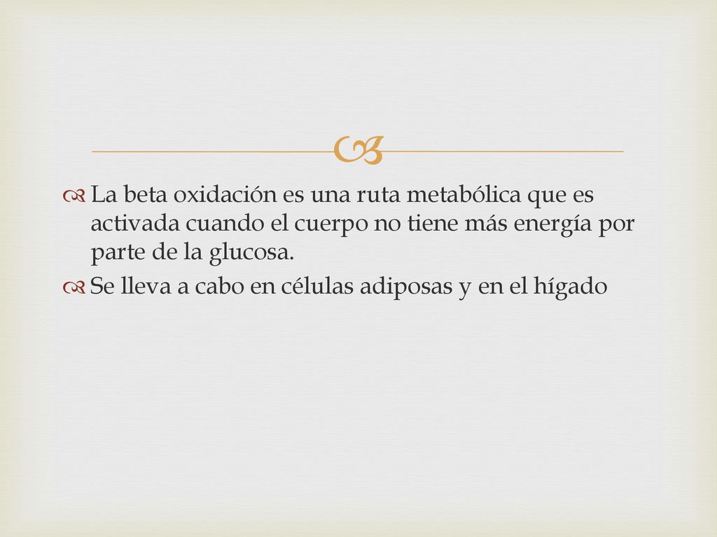 La beta oxidación es una ruta metabólica que es activada cuando el cuerpo no tiene más energía por parte de la glucosa.