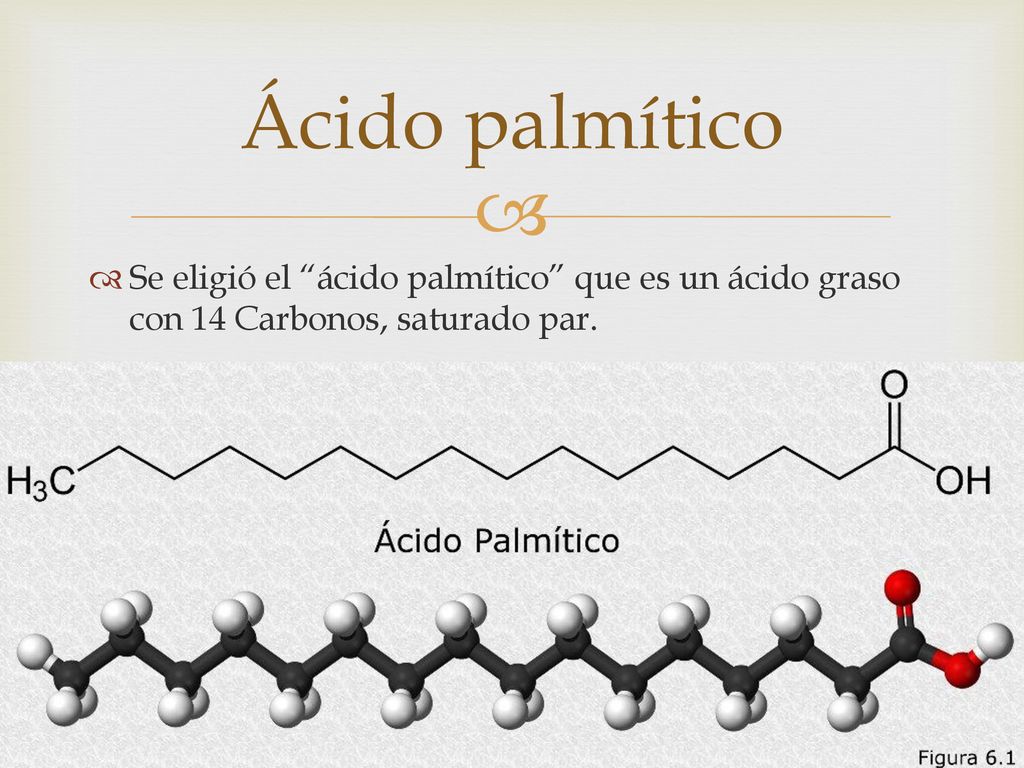 Ácido palmítico Se eligió el ácido palmítico que es un ácido graso con 14 Carbonos, saturado par.