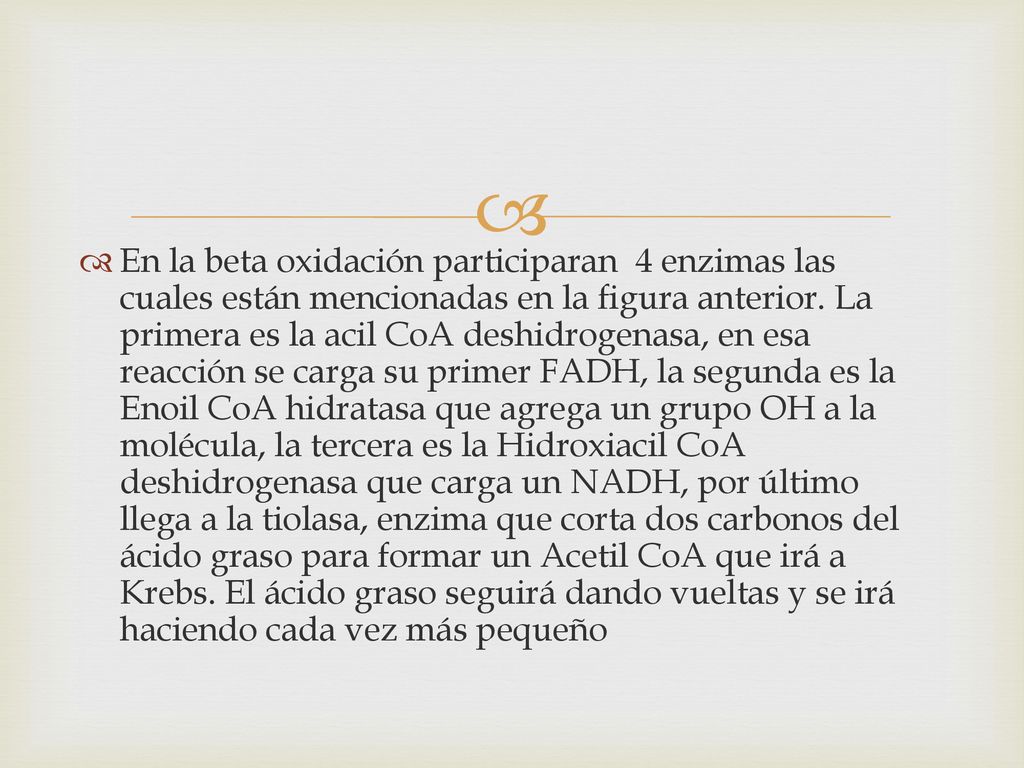 En la beta oxidación participaran 4 enzimas las cuales están mencionadas en la figura anterior.
