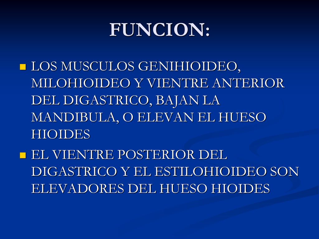 FUNCION: LOS MUSCULOS GENIHIOIDEO, MILOHIOIDEO Y VIENTRE ANTERIOR DEL DIGASTRICO, BAJAN LA MANDIBULA, O ELEVAN EL HUESO HIOIDES.
