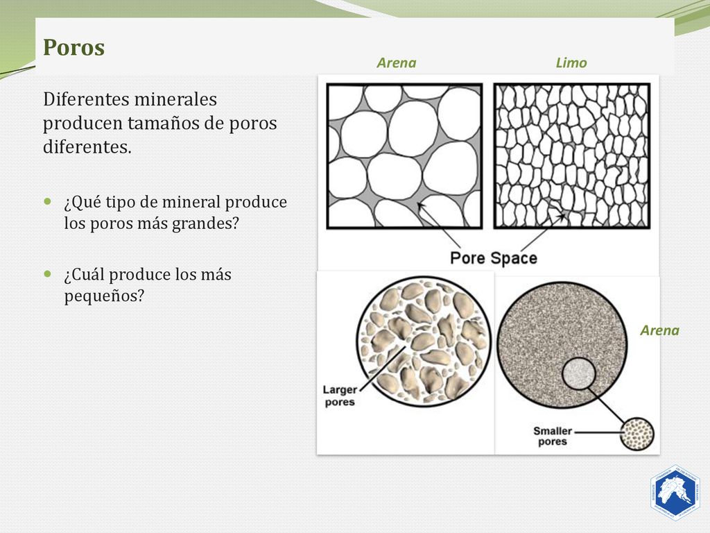 Poros Diferentes minerales producen tamaños de poros diferentes.