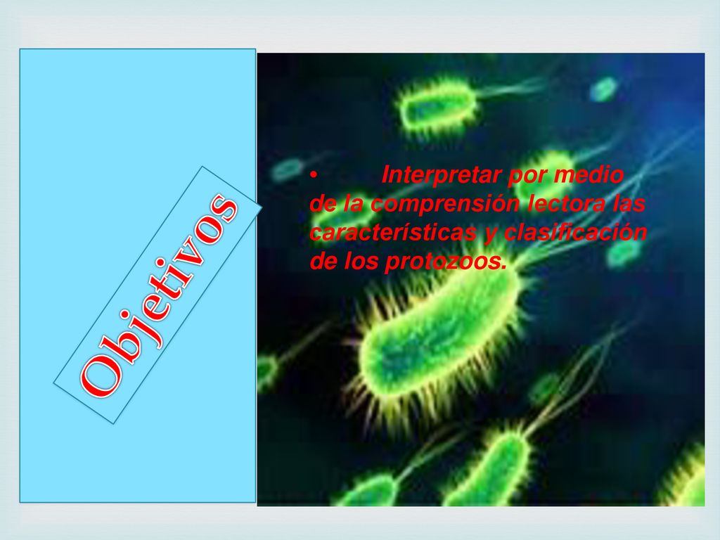 • Interpretar por medio de la comprensión lectora las características y clasificación de los protozoos.