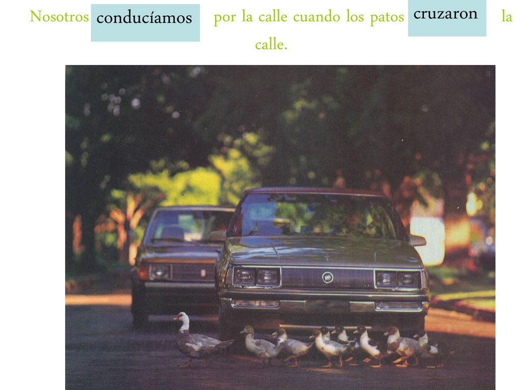 Nosotros (conducir) por la calle cuando los patos (cruzar) la calle.