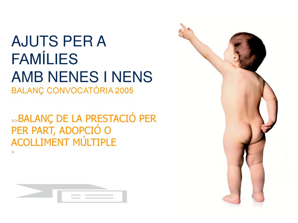 AJUTS PER A FAMÍLIES AMB NENES I NENS BALANÇ CONVOCATÒRIA 2005