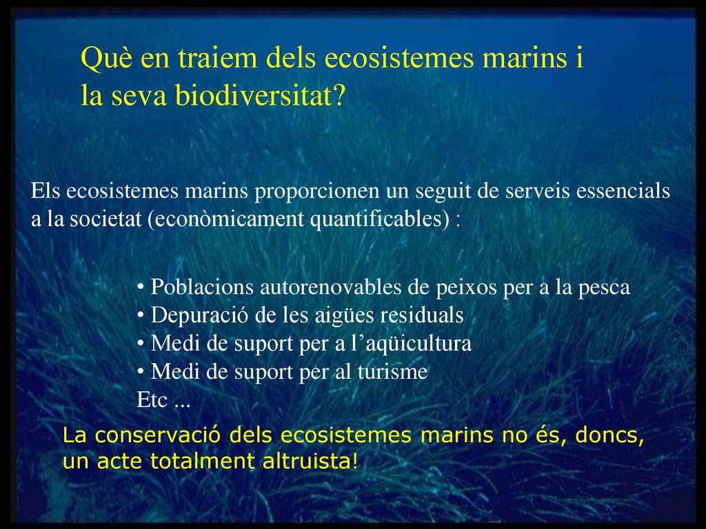 Què en traiem dels ecosistemes marins i la seva biodiversitat