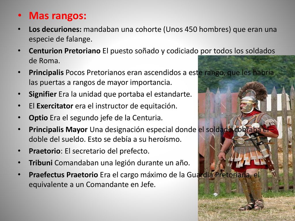 Mas rangos: Los decuriones: mandaban una cohorte (Unos 450 hombres) que eran una especie de falange.