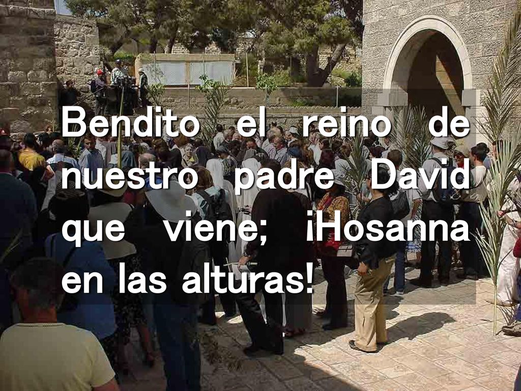 Bendito el reino de nuestro padre David que viene; ¡Hosanna en las alturas!