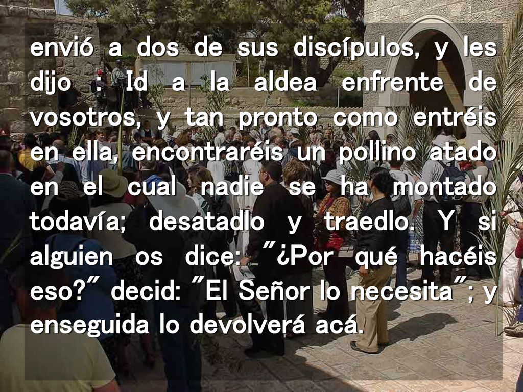 envió a dos de sus discípulos, y les dijo : Id a la aldea enfrente de vosotros, y tan pronto como entréis en ella, encontraréis un pollino atado en el cual nadie se ha montado todavía; desatadlo y traedlo.