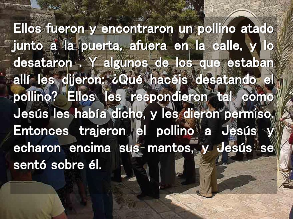 Ellos fueron y encontraron un pollino atado junto a la puerta, afuera en la calle, y lo desataron .