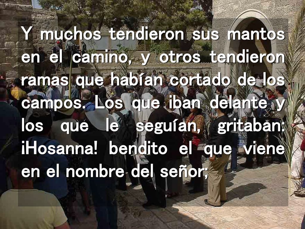 Y muchos tendieron sus mantos en el camino, y otros tendieron ramas que habían cortado de los campos.