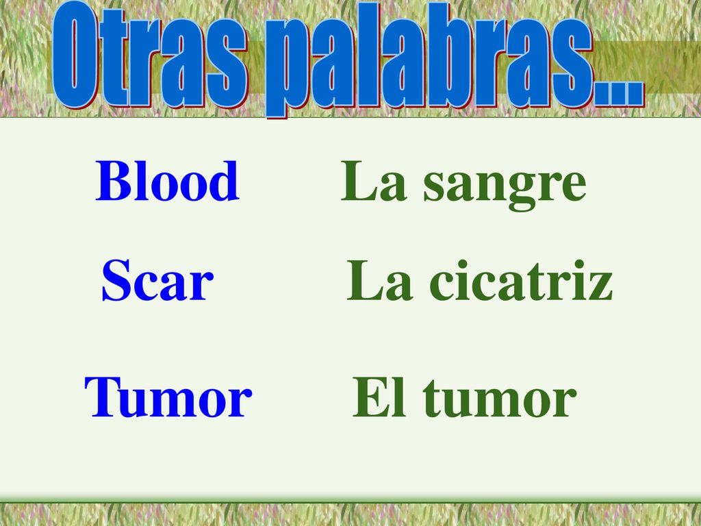 Otras palabras... Blood La sangre Scar La cicatriz Tumor El tumor