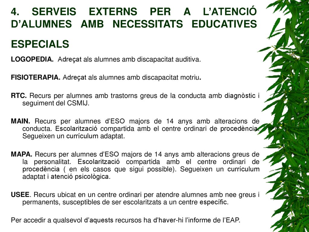 4. SERVEIS EXTERNS PER A L’ATENCIÓ D’ALUMNES AMB NECESSITATS EDUCATIVES ESPECIALS