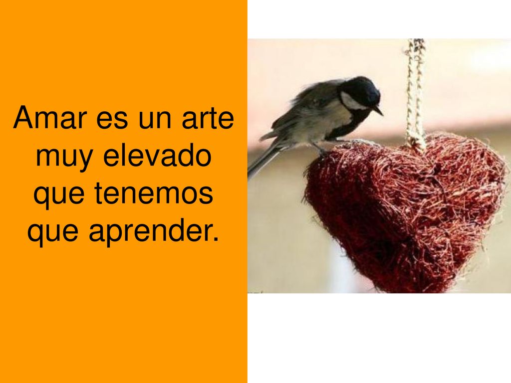 Amar es un arte muy elevado que tenemos que aprender.