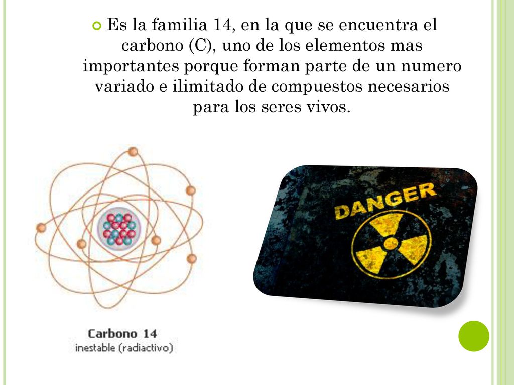 Es la familia 14, en la que se encuentra el carbono (C), uno de los elementos mas importantes porque forman parte de un numero variado e ilimitado de compuestos necesarios para los seres vivos.