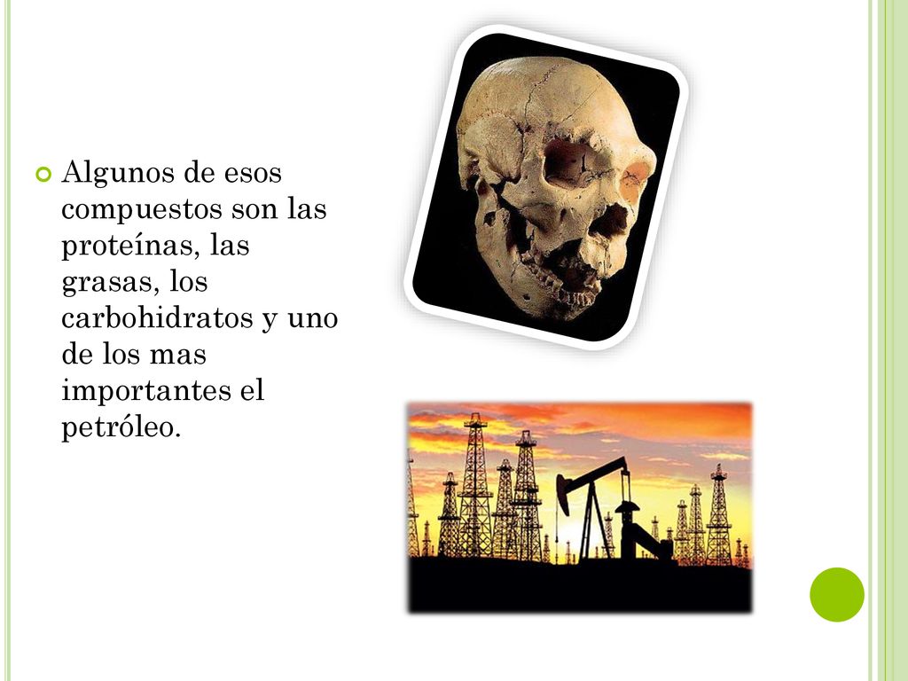 Algunos de esos compuestos son las proteínas, las grasas, los carbohidratos y uno de los mas importantes el petróleo.