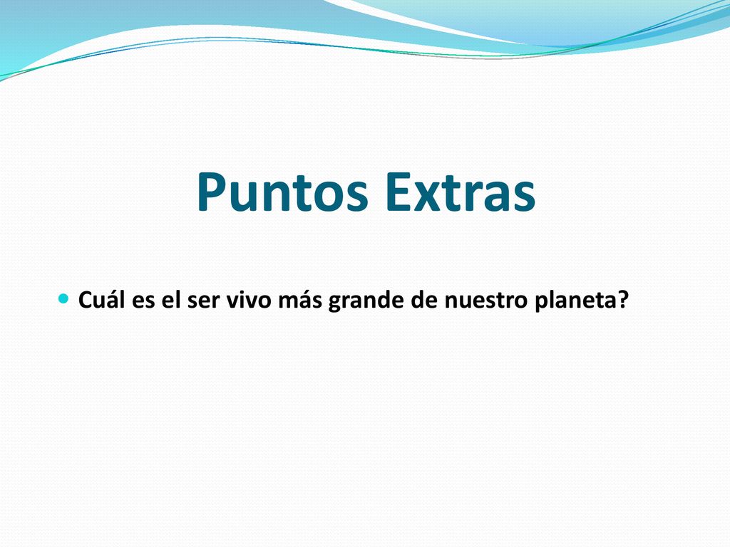 Puntos Extras Cuál es el ser vivo más grande de nuestro planeta