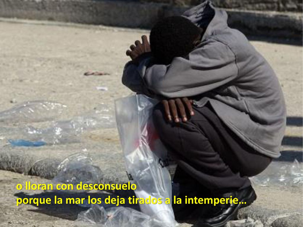 o lloran con desconsuelo porque la mar los deja tirados a la intemperie…