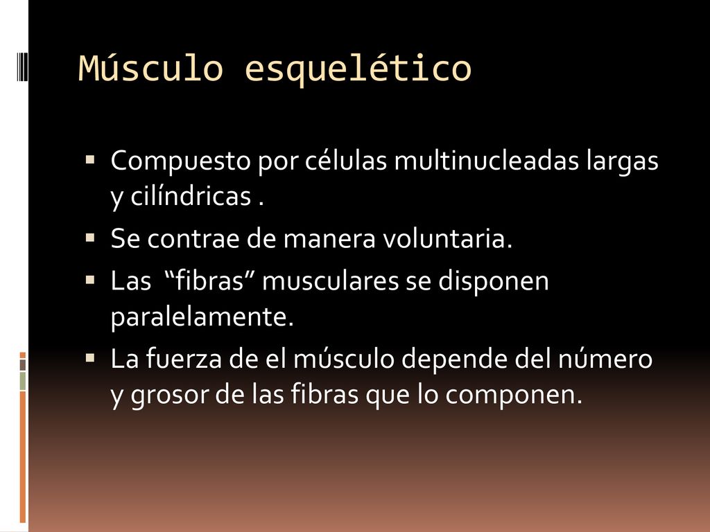 Músculo esquelético Compuesto por células multinucleadas largas y cilíndricas . Se contrae de manera voluntaria.