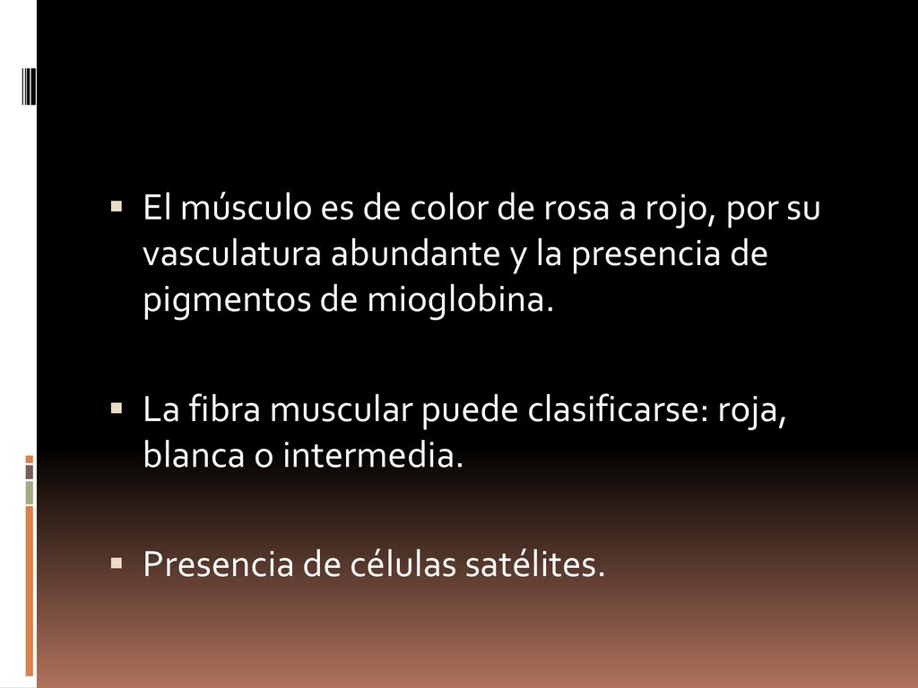 El músculo es de color de rosa a rojo, por su vasculatura abundante y la presencia de pigmentos de mioglobina.