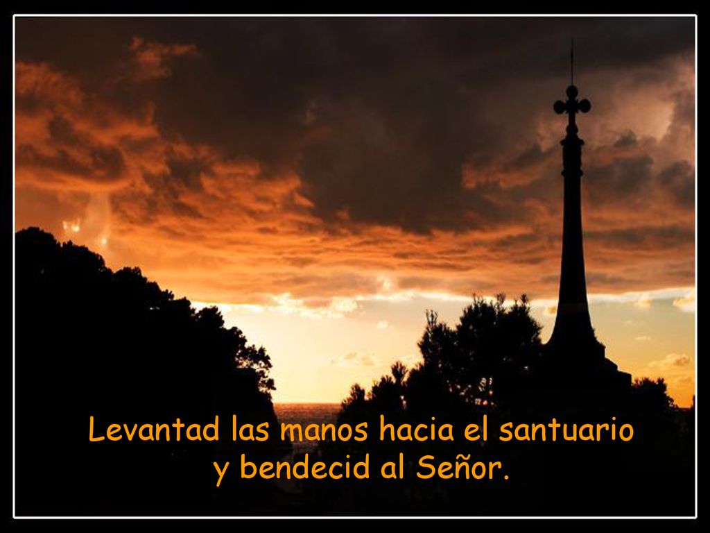 Levantad las manos hacia el santuario y bendecid al Señor.