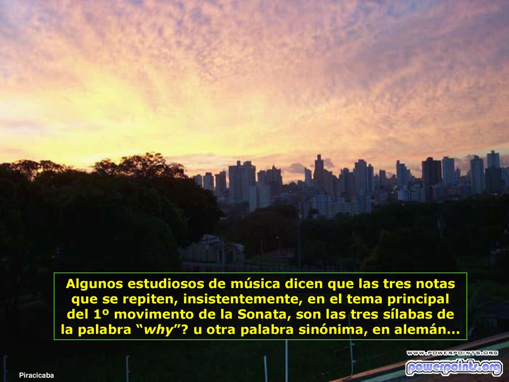 Algunos estudiosos de música dicen que las tres notas que se repiten, insistentemente, en el tema principal del 1º movimento de la Sonata, son las tres sílabas de la palabra why u otra palabra sinónima, en alemán...