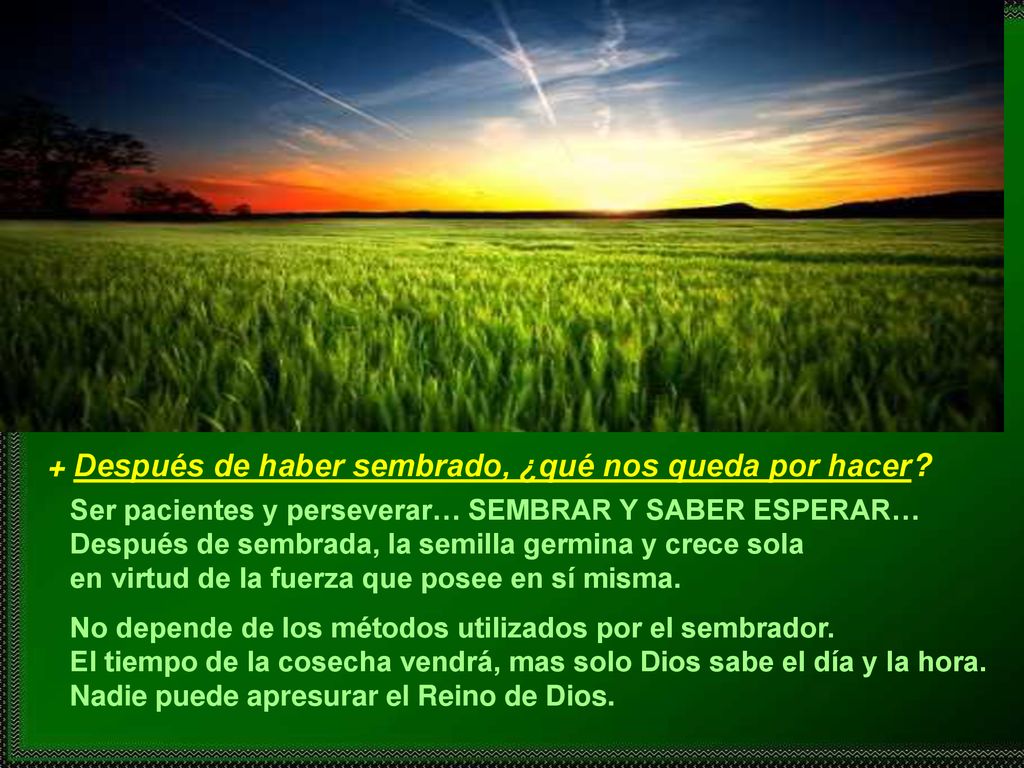 + Después de haber sembrado, ¿qué nos queda por hacer