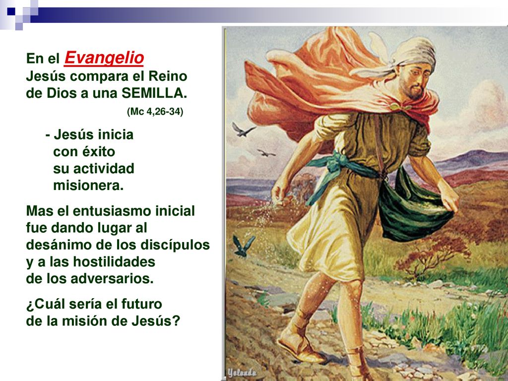 En el Evangelio Jesús compara el Reino. de Dios a una SEMILLA. (Mc 4,26-34) - Jesús inicia. con éxito.