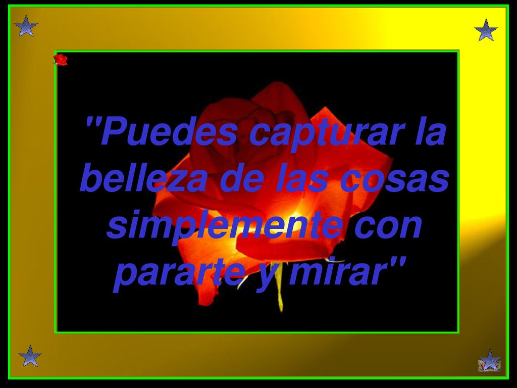 Puedes capturar la belleza de las cosas simplemente con pararte y mirar