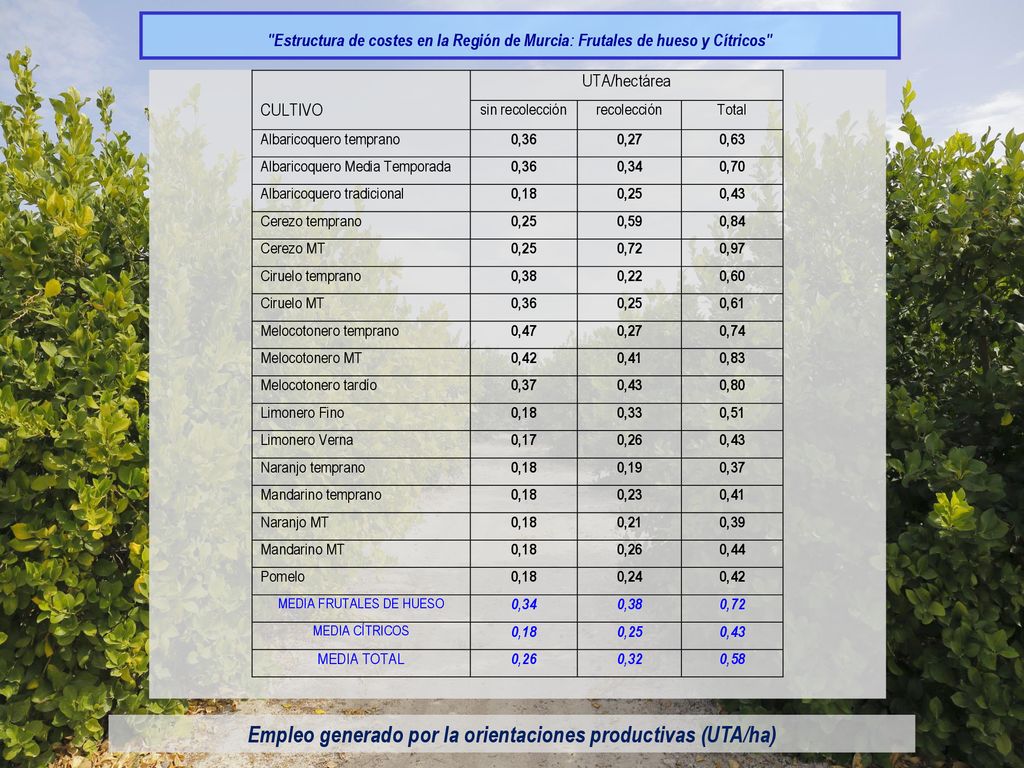 Empleo generado por la orientaciones productivas (UTA/ha)