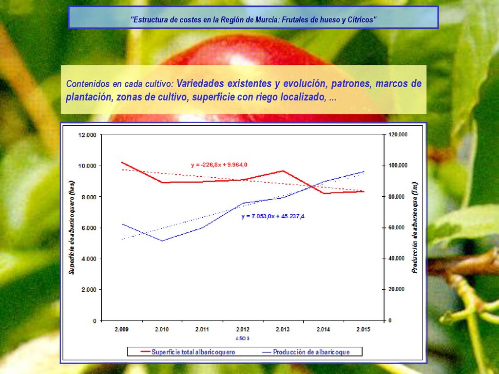 Estructura de costes en la Región de Murcia: Frutales de hueso y Cítricos