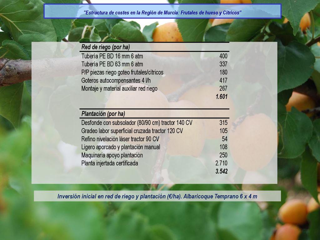 Estructura de costes en la Región de Murcia: Frutales de hueso y Cítricos