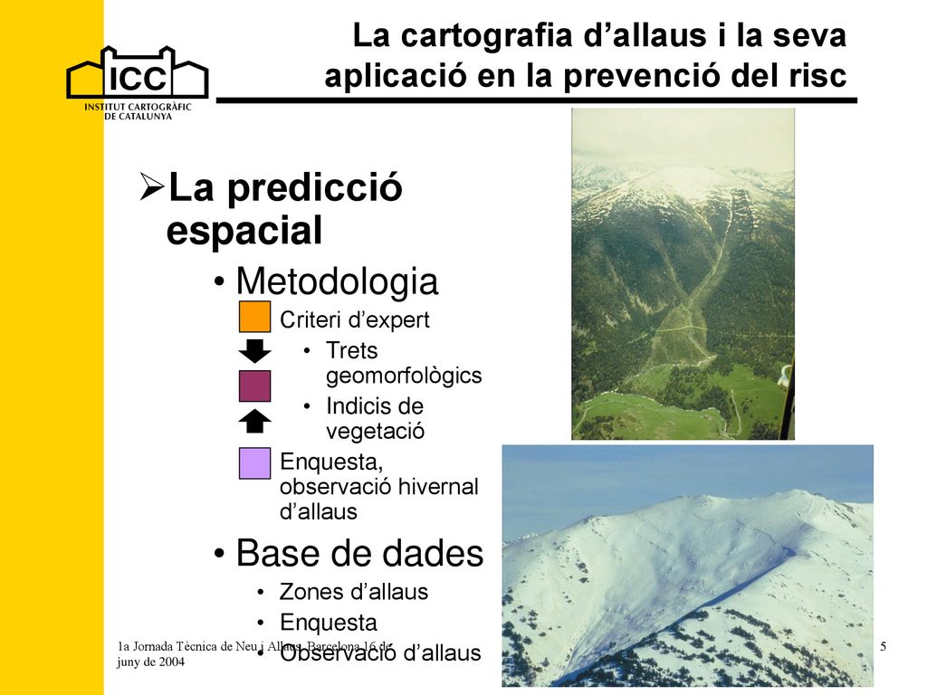 La cartografia d’allaus i la seva aplicació en la prevenció del risc