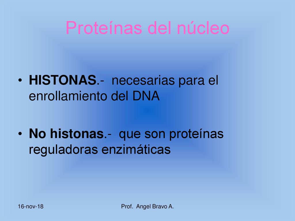 Proteínas del núcleo HISTONAS.- necesarias para el enrollamiento del DNA. No histonas.- que son proteínas reguladoras enzimáticas.
