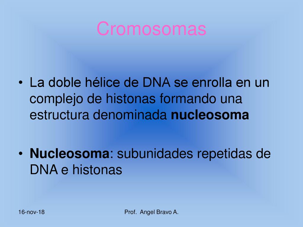 Cromosomas La doble hélice de DNA se enrolla en un complejo de histonas formando una estructura denominada nucleosoma.