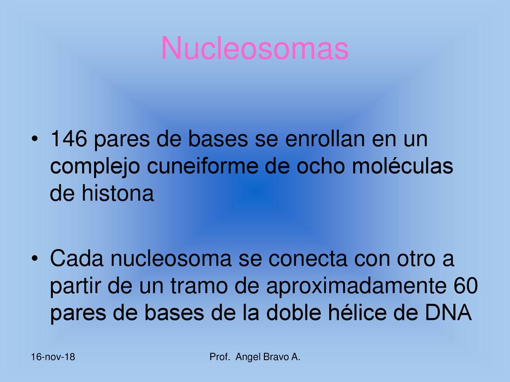 Nucleosomas 146 pares de bases se enrollan en un complejo cuneiforme de ocho moléculas de histona.