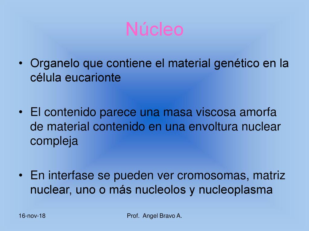Núcleo Organelo que contiene el material genético en la célula eucarionte.