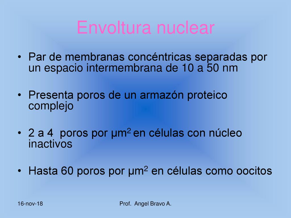 Envoltura nuclear Par de membranas concéntricas separadas por un espacio intermembrana de 10 a 50 nm.